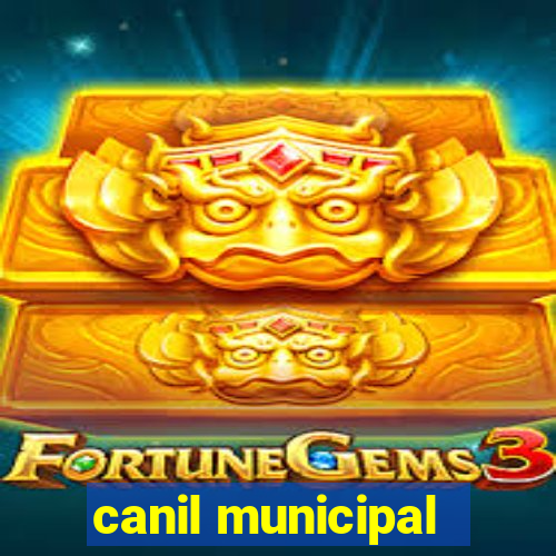 canil municipal